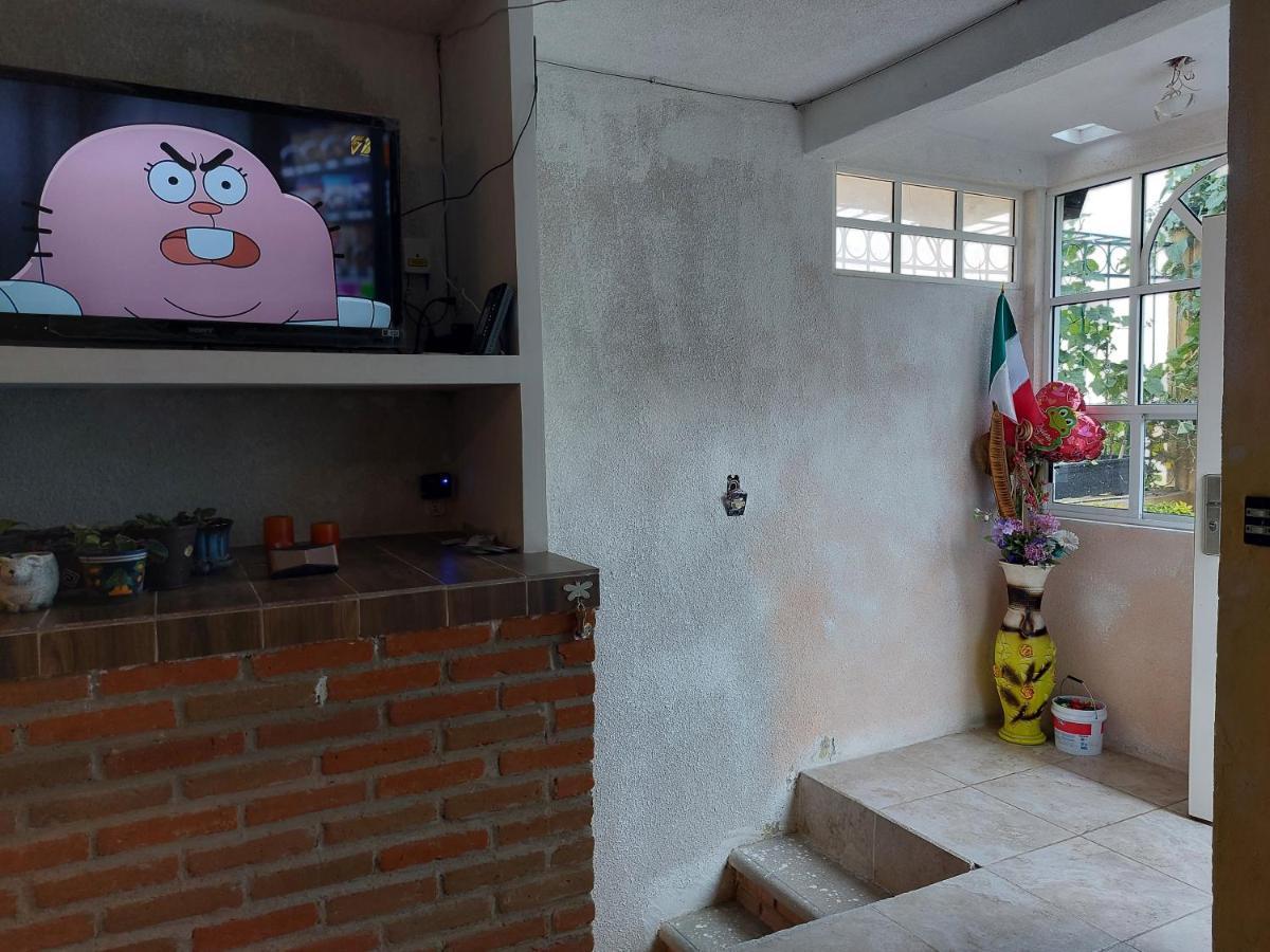 Appartement Tomas Wilson Mx