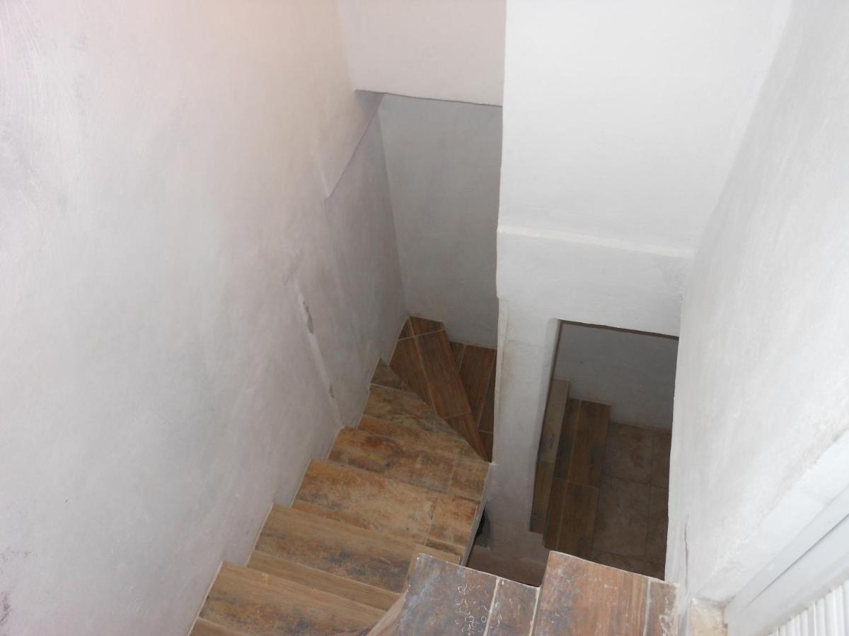 Appartement Tomas Wilson Mx *