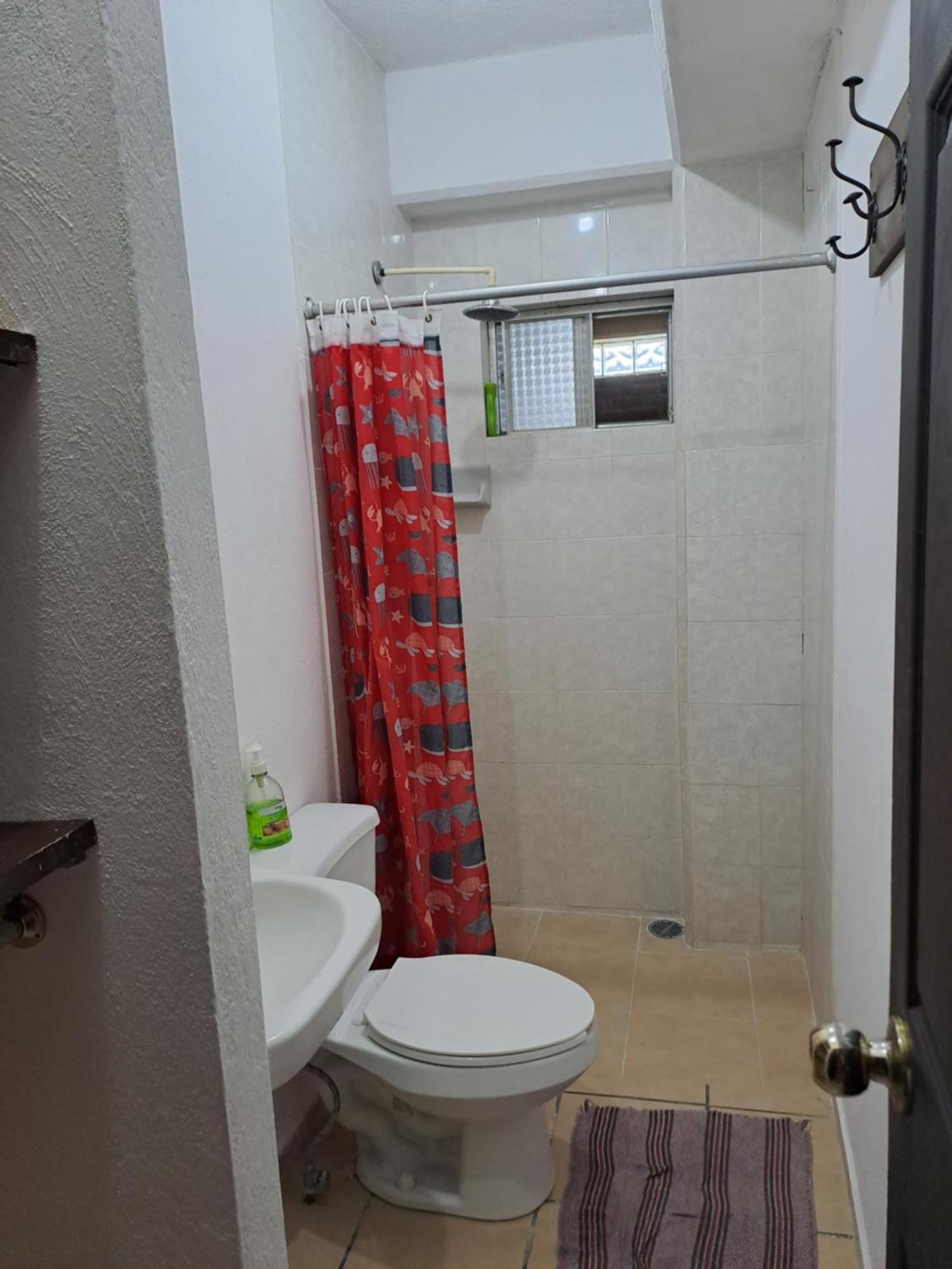 Tomas Wilson Mx Appartement Mexico-stad